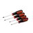Torx Screwdriver