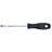 Slotted Screwdriver