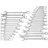 Combination Wrench