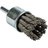 Wire Brush