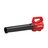 Leaf Blower