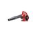 Leaf Blower