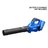 Leaf Blower